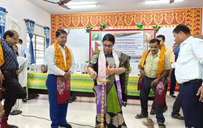 Workshop on Toy Based Pedagogy